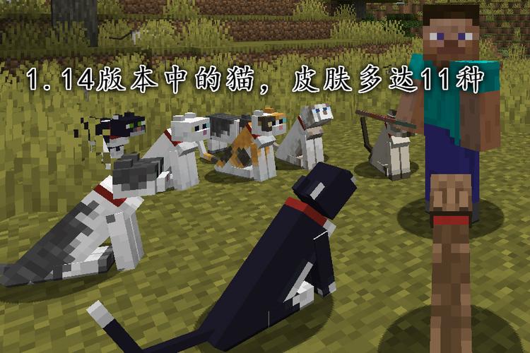 mc怎么驯服猫 我的世界《minecraft》指令代码大全