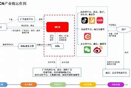 mcn机构的类型 mcn机构的经营范围